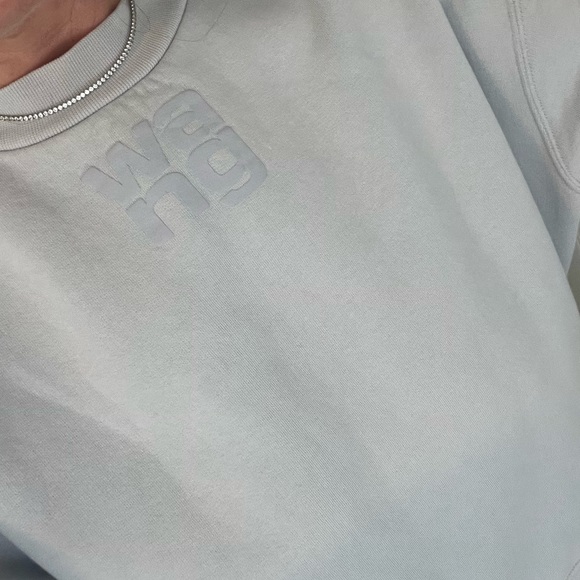 Alexander Wang Light Gray Crewneck Sweater - Picture 1 of 9
